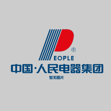 STS-PEOPLE ELECTRIC APPLIANCE GROUP